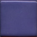 Blue Pansy 4OZ