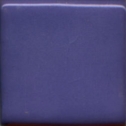 Blue Pansy 4OZ