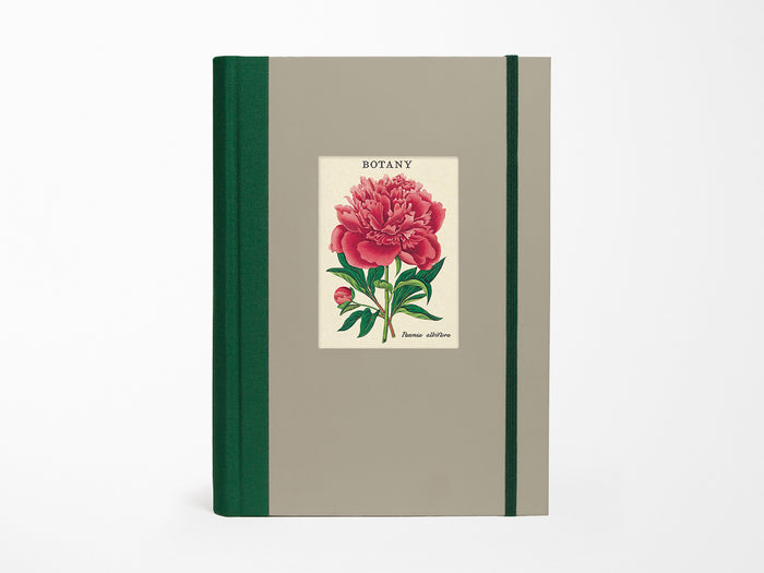 Botany Window Journal