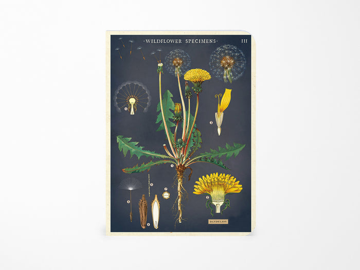 Cavallini Mini Vintage Notebooks Set of 3 - Wildflowers