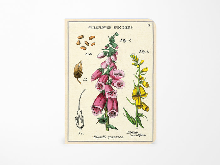 Cavallini Mini Vintage Notebooks Set of 3 - Wildflowers
