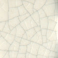 CC101 Transparent Crackle PT