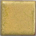 COY243 Parakeet Yellow