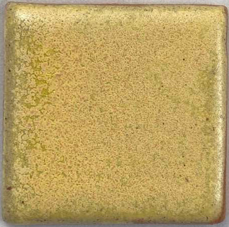 COY243 Parakeet Yellow