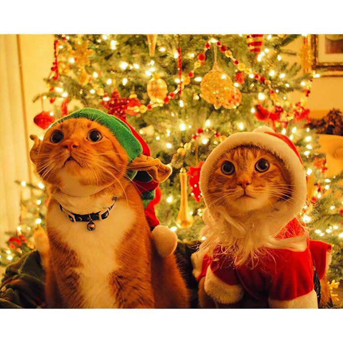 Cute Cat Of Christmas Diamond Painting Diamond Art Kit