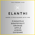 ELANTHI Meal Prep Ottawa