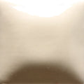 FN-14 Antique White Pint
