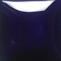 FN-19 Dark Blue Pint