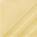 FN-203 Dry Champagne Pint