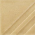FN-204 Mudpuddle Brown Pint