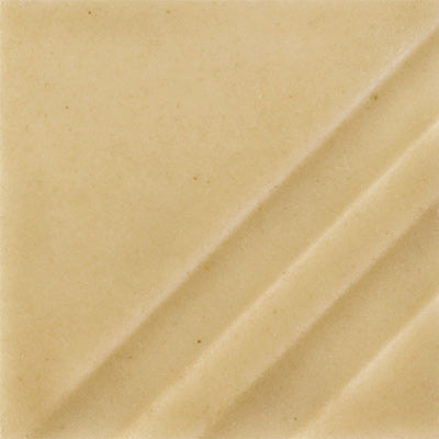 FN-204 Mudpuddle Brown Pint