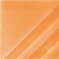 FN-207 Orange Slice Pint