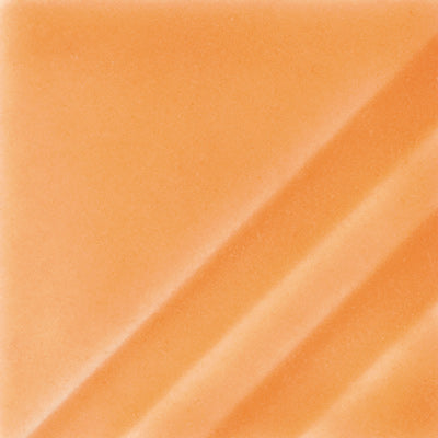 FN-207 Orange Slice Pint