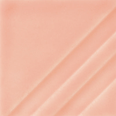 FN-209 Floral Pink Pint