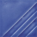 FN-213 Saffire Blue Pint