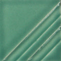 FN-231 Clearly Jade Pint