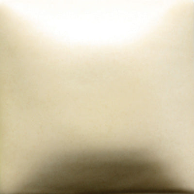 FN-302 Ivory Cream Pint