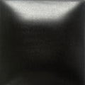 FN-304 Black Velvet Pint