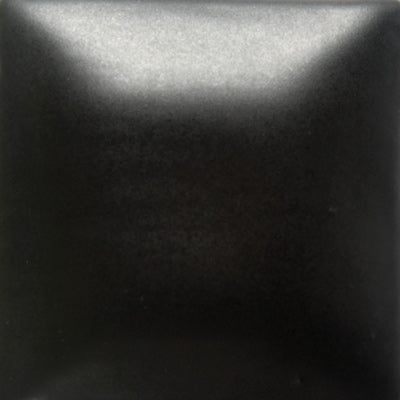 FN-304 Black Velvet Pint