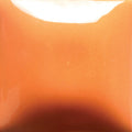 FN-40 Pumpkin Pint