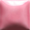 FN-48 Bright Pink Pint