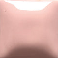 FN-5 Pink Pint