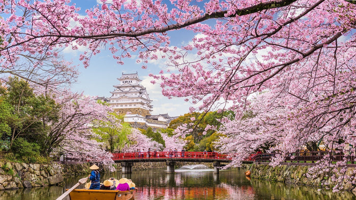Japanese Cherry Blossom on a River Diamond Painting Diamond Art Kit