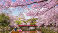 Japanese Cherry Blossom on a River Diamond Painting Diamond Art Kit