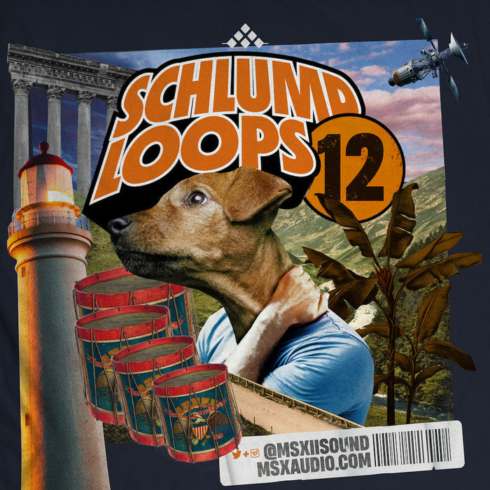 MSXII Sound Design - Schlump Loops Vol. 12
