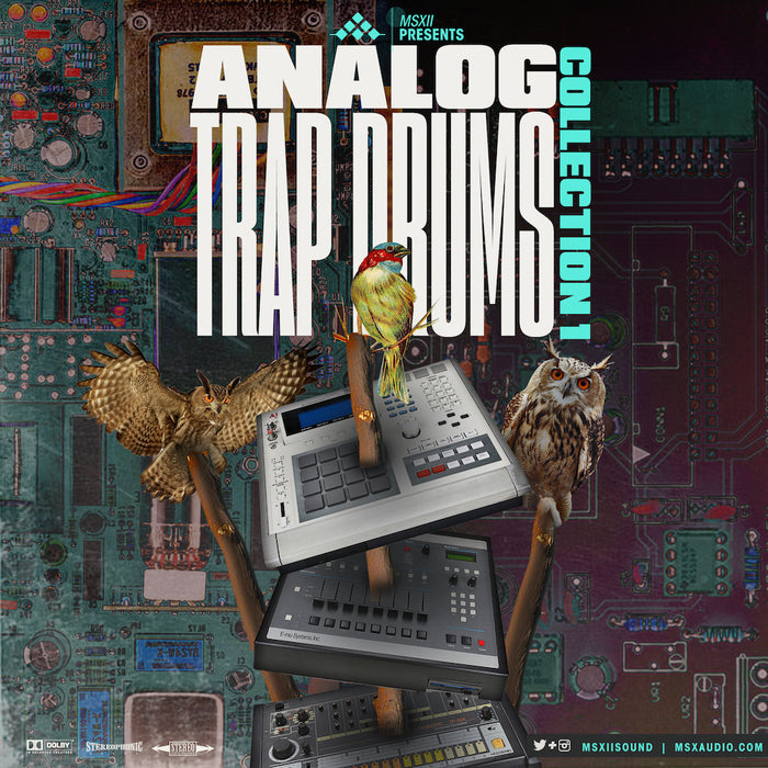 MSXII Sound Design - Trap Drums Bundle