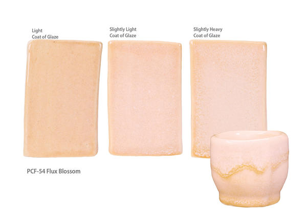 PCF-54 Flux Blossom Pint