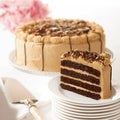 Peanut Butter Cup Cake
