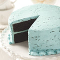 Robin's Egg Chocolate Cake