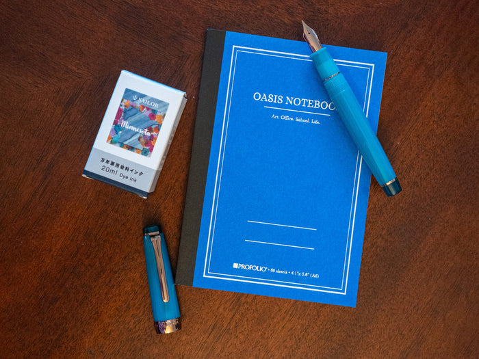 Sailor Pro Gear Standard Fountain Pen - Lucky Charm 2