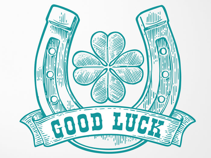 Sailor Pro Gear Standard Fountain Pen - Lucky Charm 2