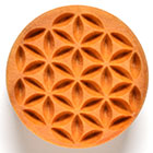 SCL-013 Seed of Lite
