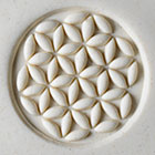 SCL-013 Seed of Lite