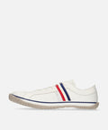 SP-168 Tricolor - SPINGLE