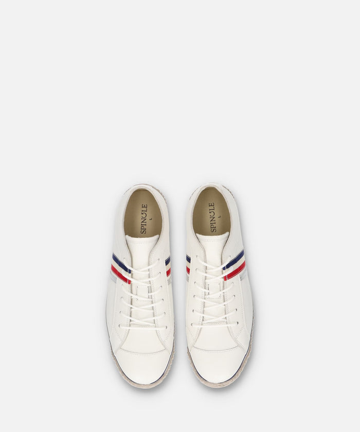 SP-168 Tricolor - SPINGLE