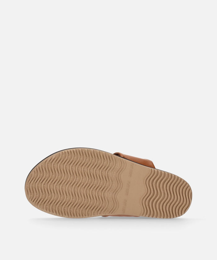 SP-1705 Camel - SPINGLE