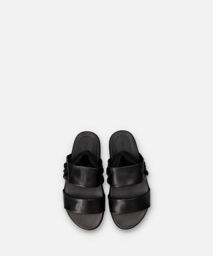 SP-1707 Black - SPINGLE