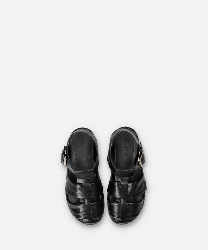SP-1713 Black - SPINGLE