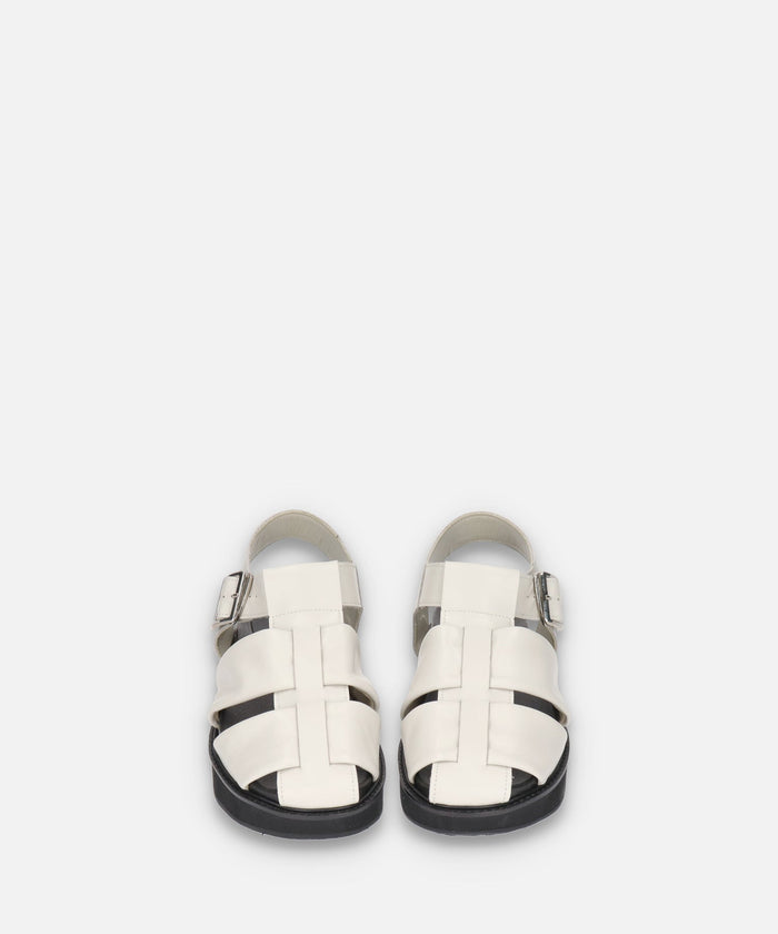 SP-1713 Ivory - SPINGLE