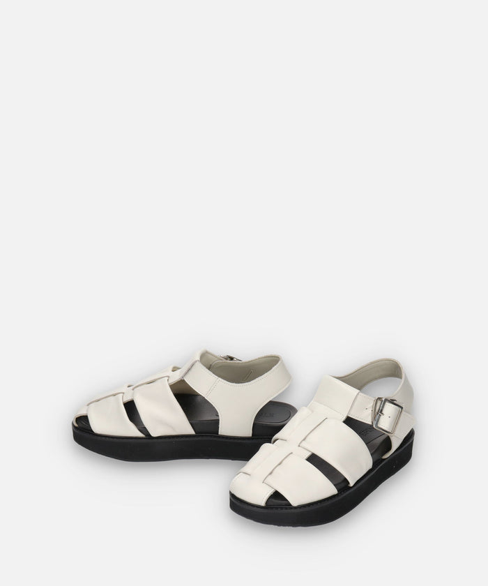 SP-1713 Ivory - SPINGLE