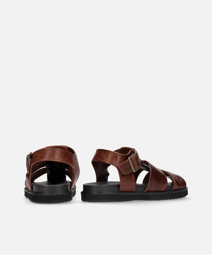SP-1714 Brown - SPINGLE