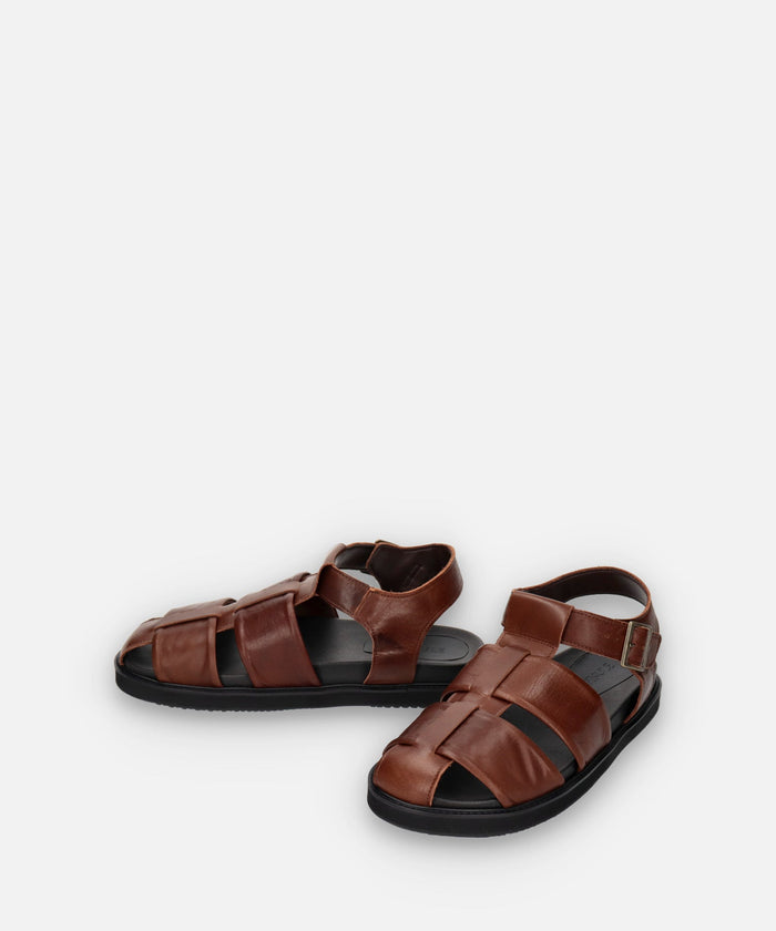 SP-1714 Brown - SPINGLE