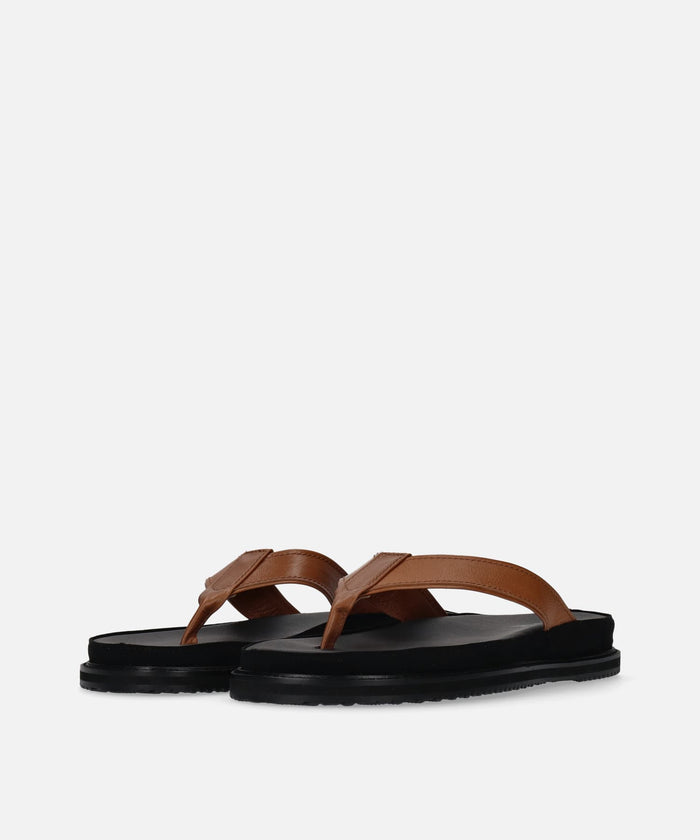 SP-1717 Brown - SPINGLE