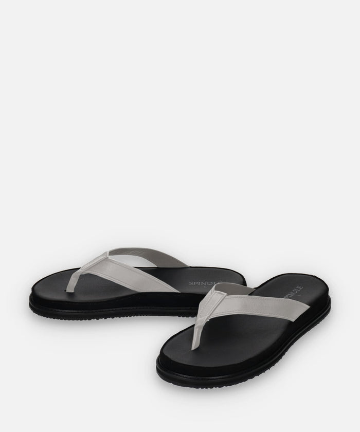 SP-1717 Light Gray - SPINGLE