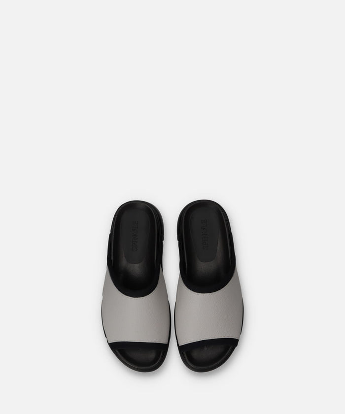 SP-1719 Light Gray - SPINGLE