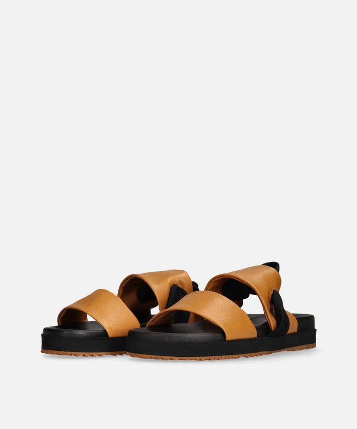 SP-1723 Camel